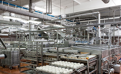 food and dairy processing
